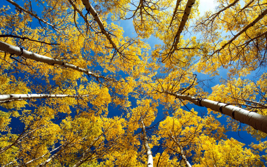 1464199 (a): :2560x1600